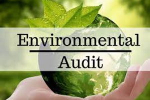 Environmental Ausit Services