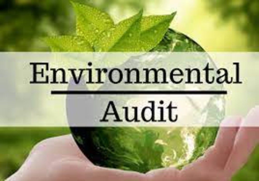 Environmental Ausit Services