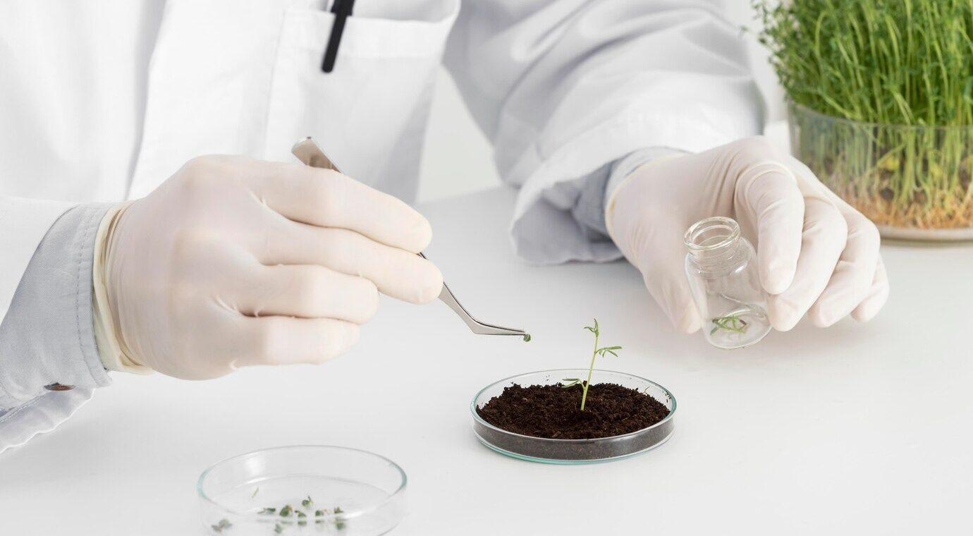 Soil Testing