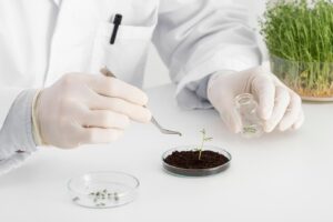 Soil Testing